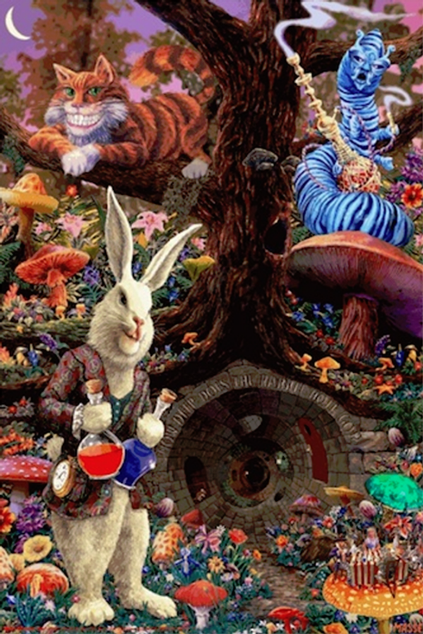 Down The Rabbit Hole Poster - TshirtNow.net
