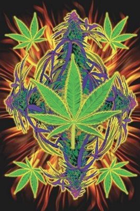 Flaming Leaf Poster - TshirtNow.net