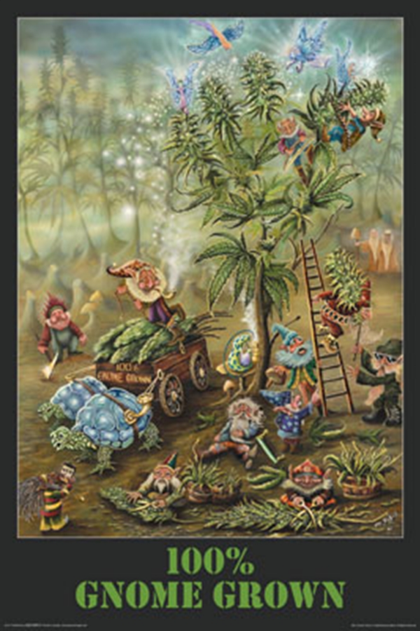 Gnome Grown Poster - TshirtNow.net