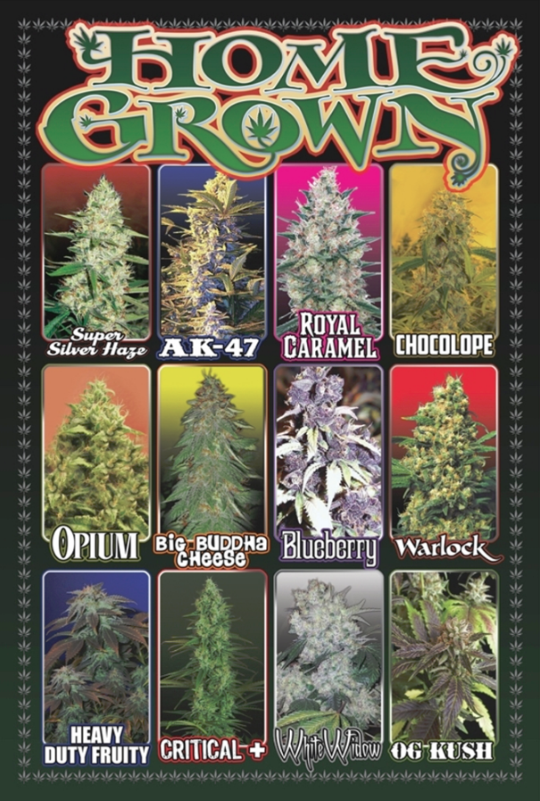 Home Grown Poster - TshirtNow.net