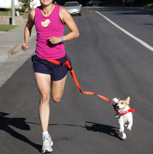 PET DOG RUNNING LEASH