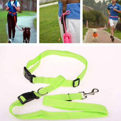 PET DOG RUNNING LEASH