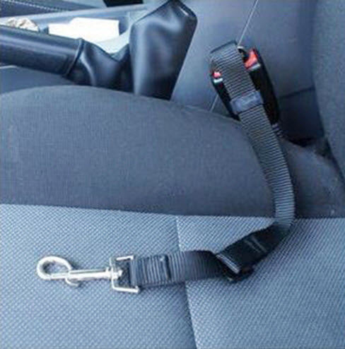 ADJUSTABLE DOG SEAT BELT