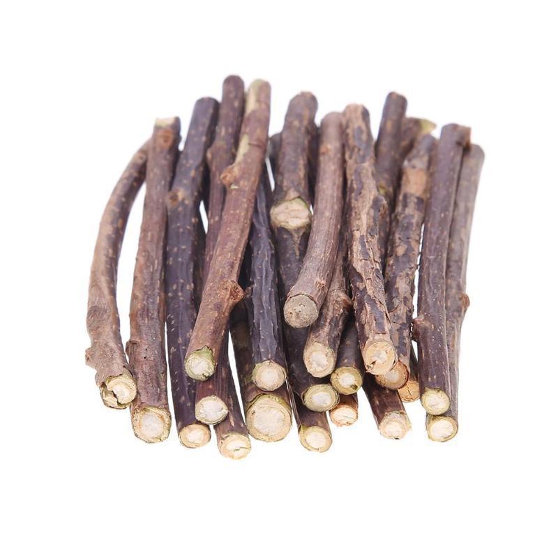 Cat Chompy Sticks