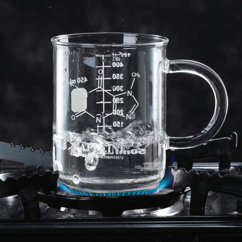 Double Wall Glass Coffee/Tea Mug