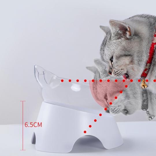 Anti-Vomiting and Non-Slip Orthopedic Cat Bowl With Raised Stand