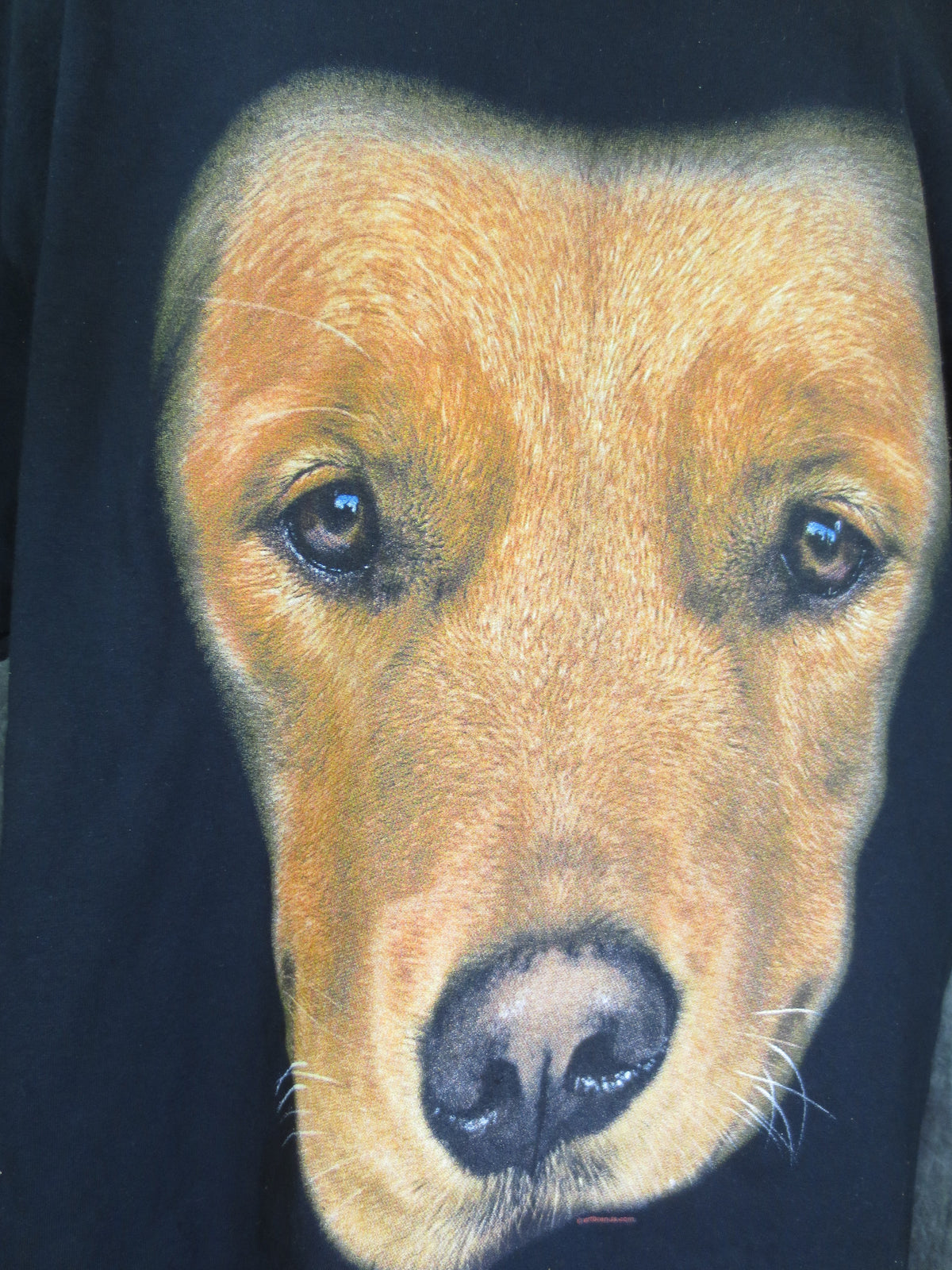 Golden Retriever Face Tshirt Black Tshirt - TshirtNow.net - 3