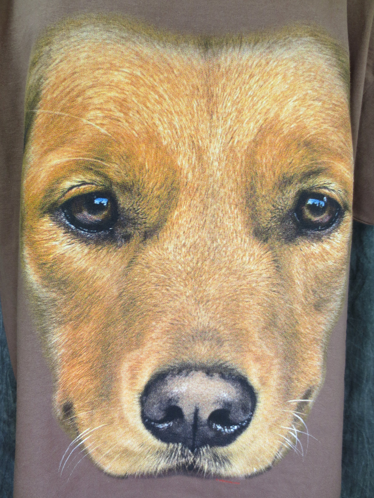 Golden Retriever Face Tshirt Brown Tshirt - TshirtNow.net - 2