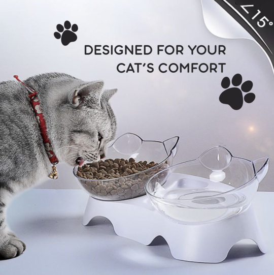 Anti-Vomiting and Non-Slip Orthopedic Cat Bowl With Raised Stand