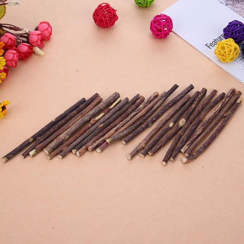 Cat Chompy Sticks