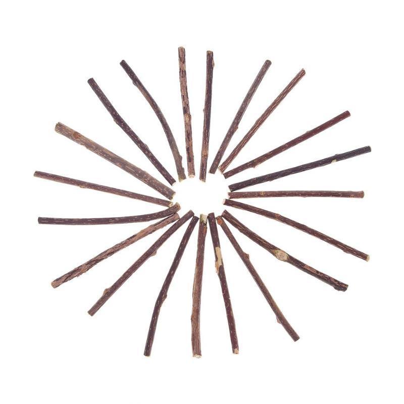 Cat Chompy Sticks