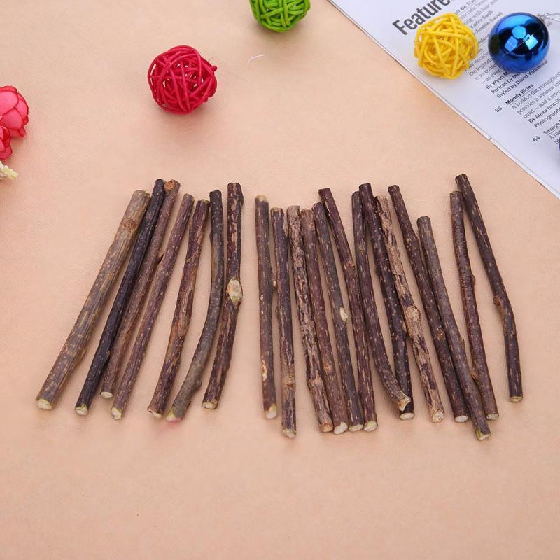 Cat Chompy Sticks